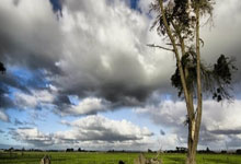 NBA即时比分直播网该怎么选？这些要点帮你找到靠谱平台